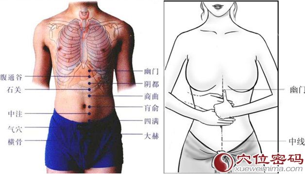 幽门穴的位置图