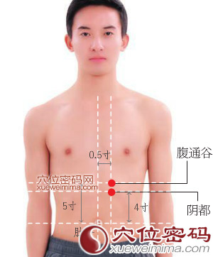 阴都穴的准确位置图