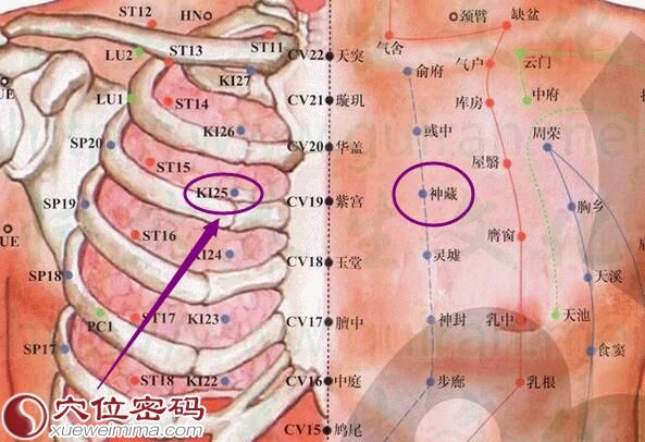 神藏穴的准确位置图