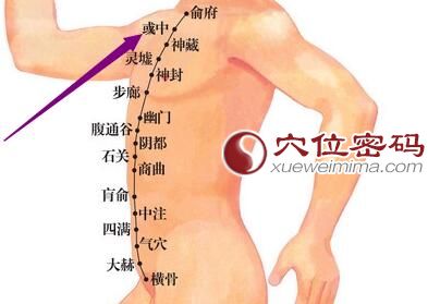 彧中穴位图
