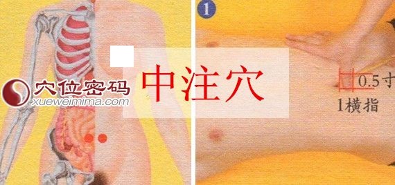 中注穴的准确位置图