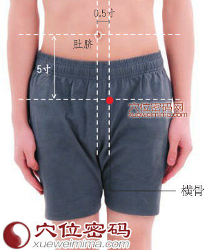 横骨穴的准确位置图