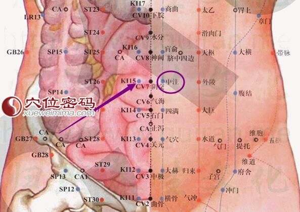 中注穴的准确位置图