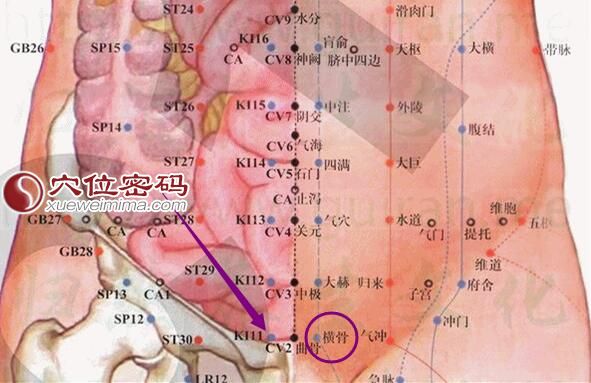 横骨穴的准确位置图
