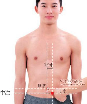 中注穴的准确位置图