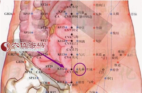 大赫穴的准确位置图