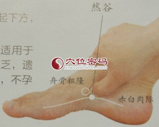 然谷穴的位置图