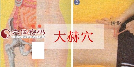 大赫穴位位置图
