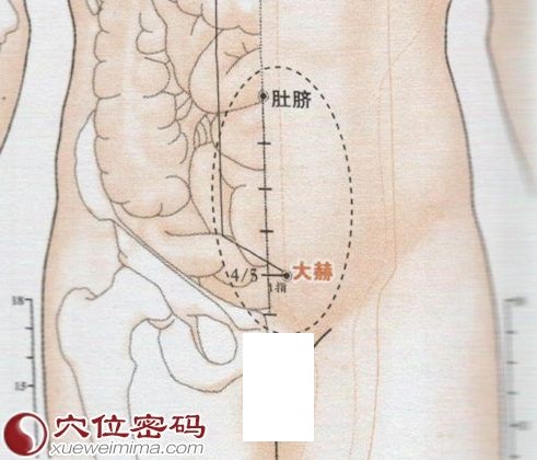 大赫穴的准确位置图