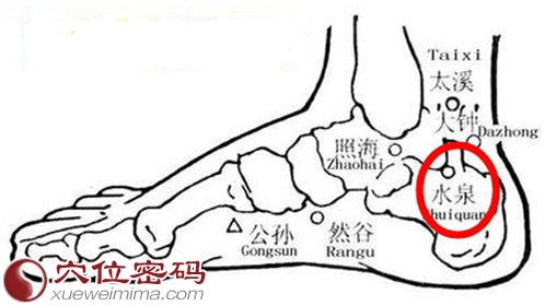 水泉穴位