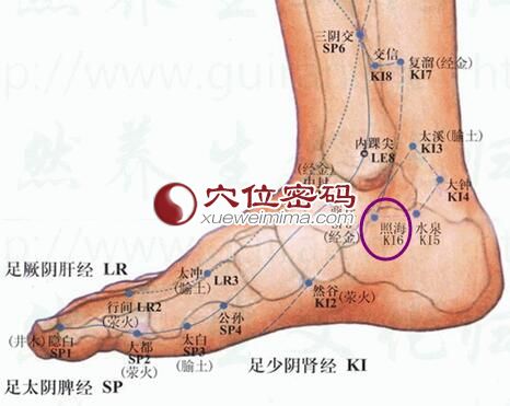 照海穴的准确位置图