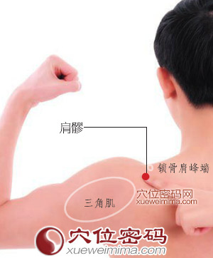 肩髎穴的位置穴