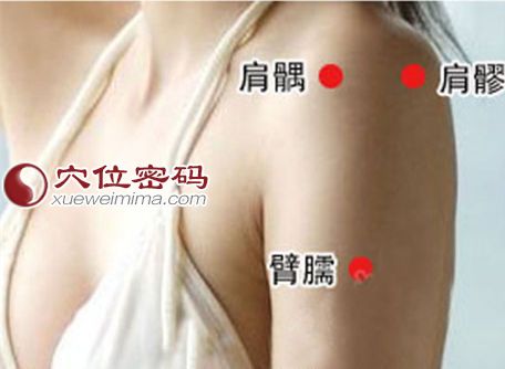 肩髎穴的位置图