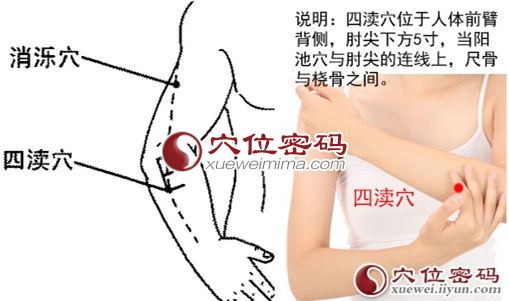 四渎穴位图