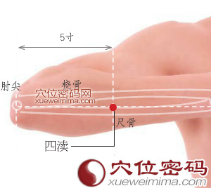 四渎穴的准确位置图