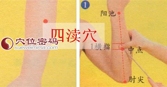 图解四渎穴的位置及取穴方法