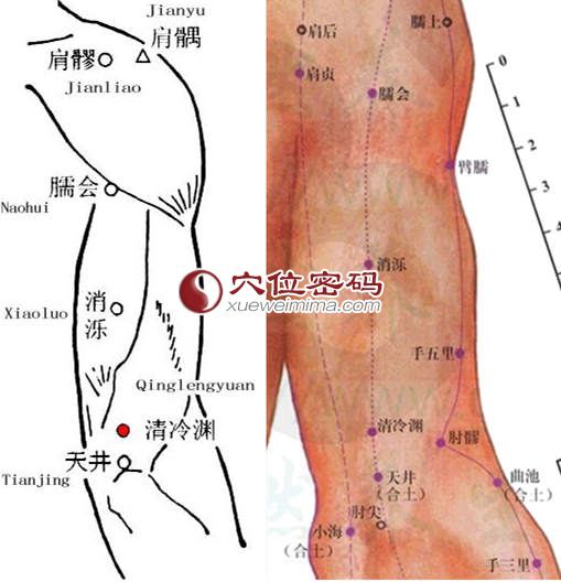 清冷渊穴的位置图