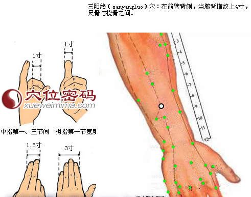 三阳络穴位图