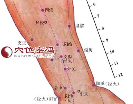 三阳络穴位图