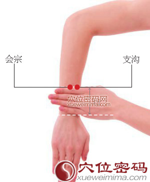 会宗穴的准确位置图