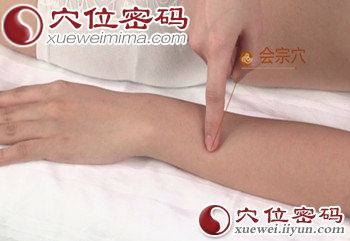 会宗穴位位置图