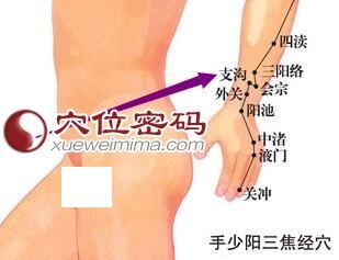 支沟穴的位置图