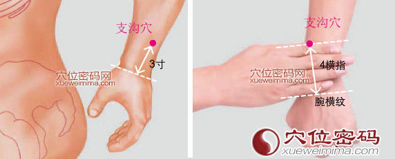 支沟穴的准确位置图