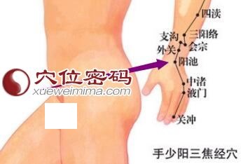 阳池穴位位置图