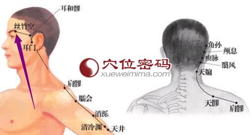 丝竹空穴的位置图