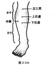 足阳明胃经穴