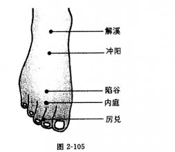 足阳明胃经穴