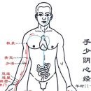 经络排毒养颜五法宝 手阳明大肠经改善便秘
