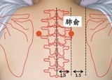 艾灸三个穴   一生都保健康