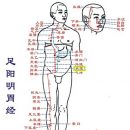 十四经络的保健功效 大肠经改善调理便秘