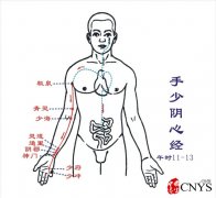 每天按摩这些穴位少病有养生