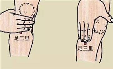足三里什么时候不能按 按足三里的忌讳
