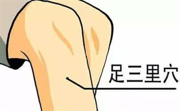 什么人不能敲打足三里 拍打足三里的最佳时间