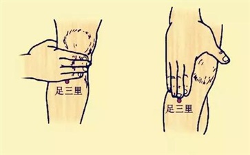 敲足三里能减肥吗 足三里的功效与禁忌