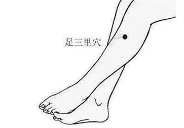 足三里的作用与好处 按摩足三里的好处