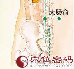 【大肠俞穴】保持肠道卫生的“清道夫”