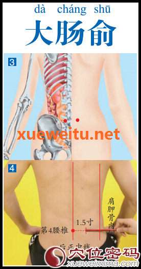 【大肠俞穴】保持肠道卫生的“清道夫”