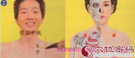云门穴 云门穴