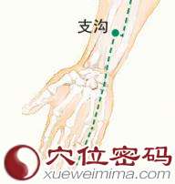 【支沟穴】气行便通一身轻