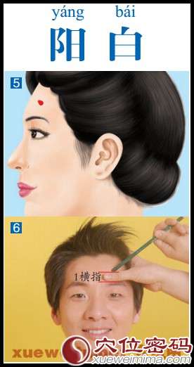 阳白穴 阳白穴