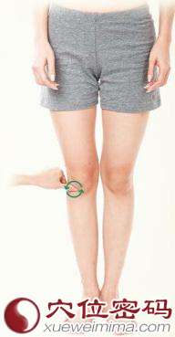 【犊鼻穴】治疗膝关节病的特效穴