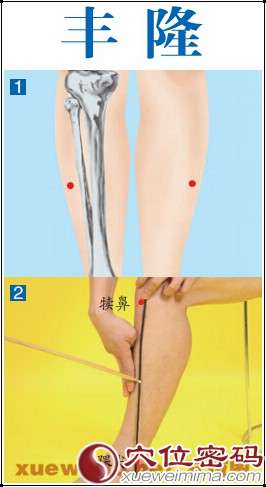 丰隆穴 丰隆穴