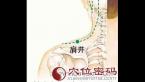 【肩井穴】治疗头、肩疼痛之胆经要穴