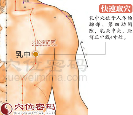 乳中穴的准确位置图