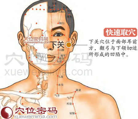 下关穴的准确位置图