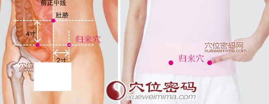 归来穴的准确位置图